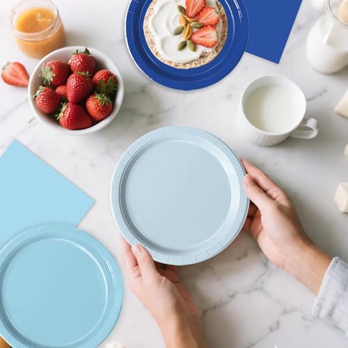 60 PCS Blue Paper Plates and Napkins for Parties