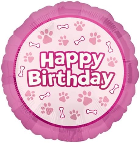 Skye and Everest 2nd Birthday Balloon Decorations 12ct