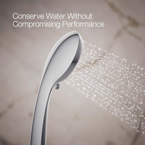 KOHLER Awaken B-Series Handshower 15GPM