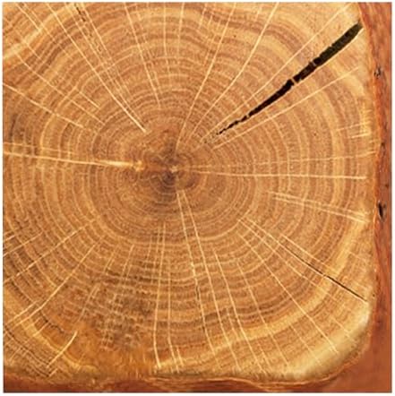 40Pcs Wood Grain Party Napkins 65x65 Inches
