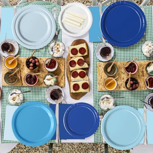 60 PCS Blue Paper Plates and Napkins for Parties