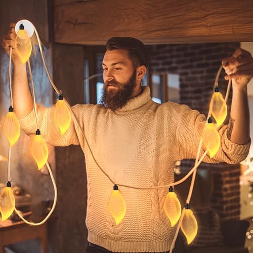 Leaf String Light USB Power Supply 10 LED Fairy Lights