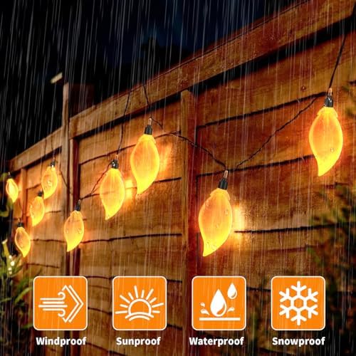 Leaf String Light USB Power Supply 10 LED Fairy Lights