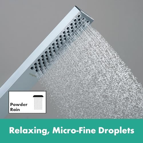 Hansgrohe Pulsify E Handheld Shower Head