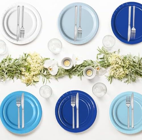 60 PCS Blue Paper Plates and Napkins for Parties