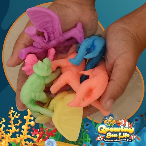 IPIDIPI TOYS Water Growing Sea Creatures Set of 32