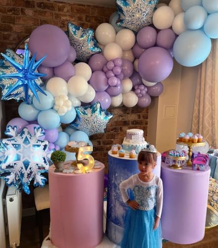 133 Pcs Ice Snow Themed Balloon Arch Kit