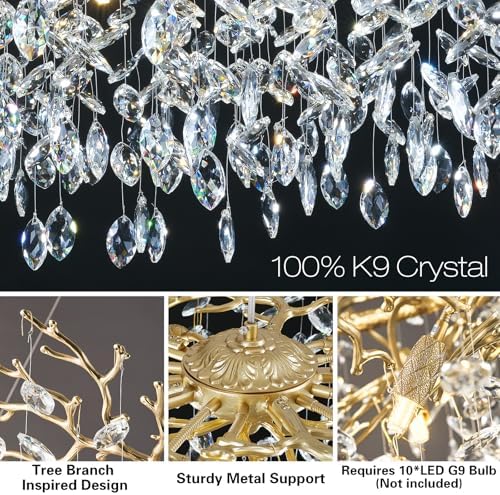 Modern Gold Crystal Chandelier with 10 Lights 30 Inch