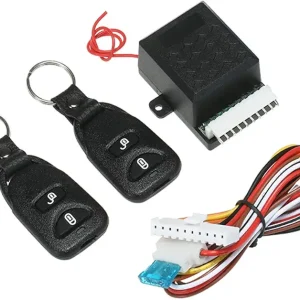 Engine Immobilizer System